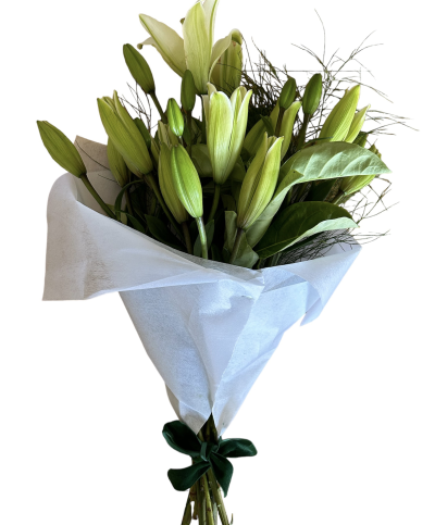 White Lily Bunch Splendour - A elegant bunch of white lily in a bouquet, a perfect gift to send your wishes. Standard size has stems of lily and is finished off with lush greenery.