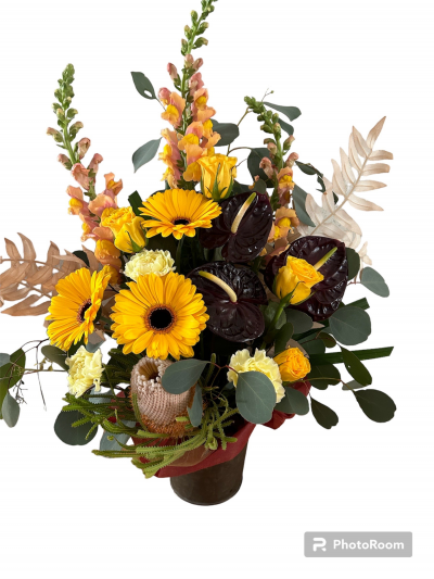 Happy Days - An exotic arrangement of  Anthuriums, Roses, Australian Natives, Gerberas arranged in a pot will brighten their day. The flowers are premium quality and long lasting.